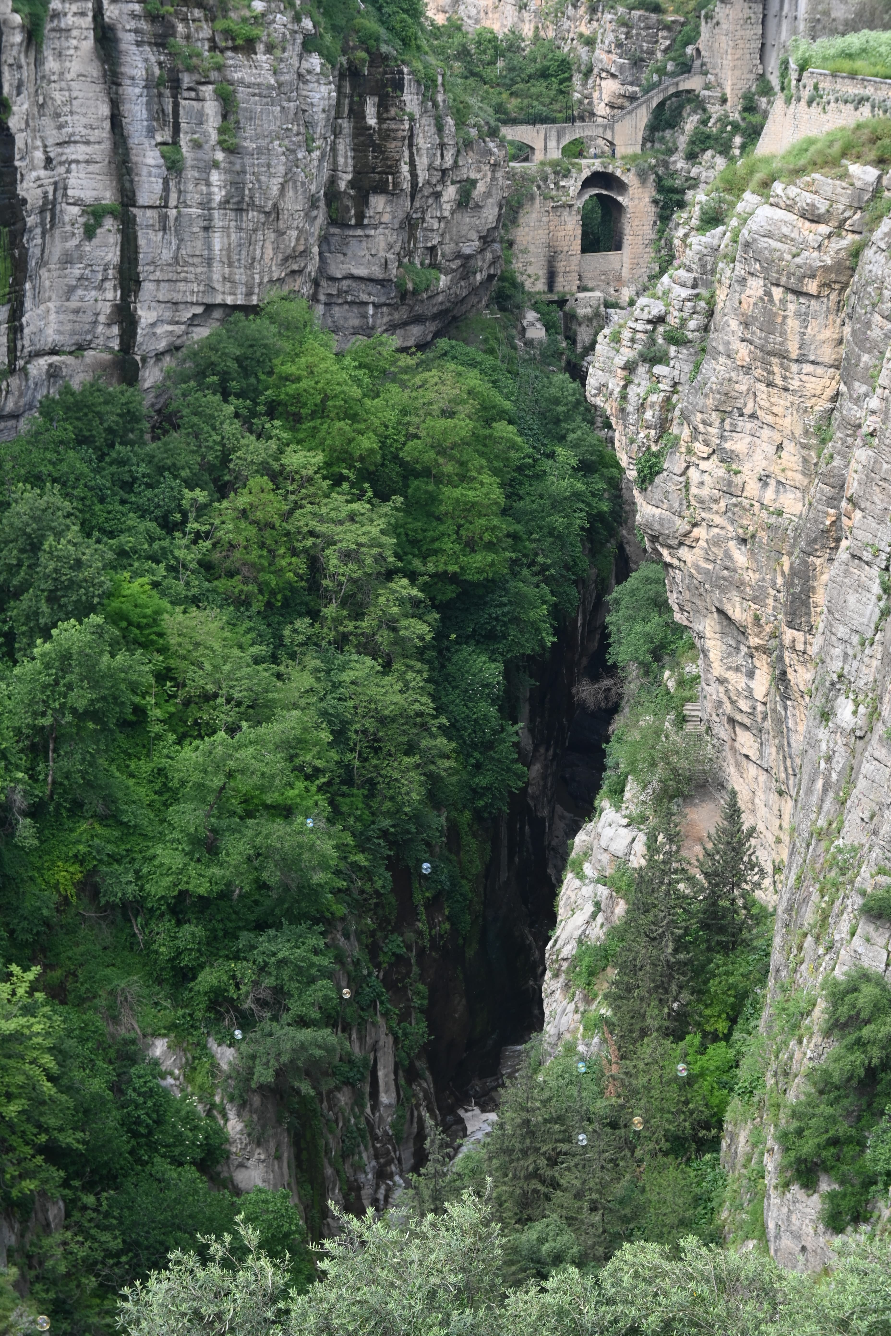 Gorges du Rhumel et pont en arc